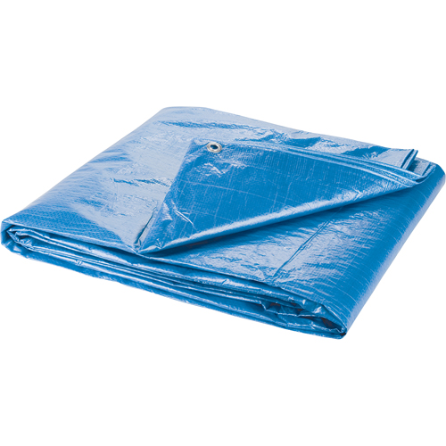 Tarp, Standard Duty, Blue, 7' x 5' x 4 mils Nuna Depot Inc.