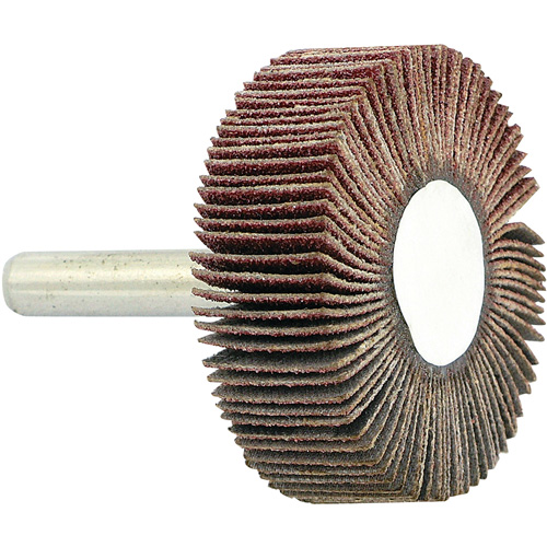 Disque &agrave; lamelles mont&eacute; sur mandrin, Grain 80, 1-1/2" x 1/2" x 1/4" Nuna Depot Inc.