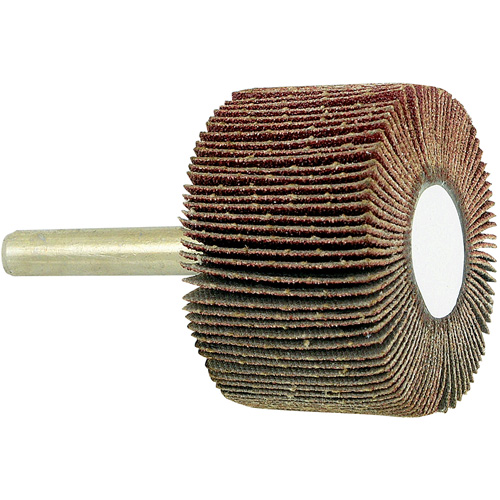 Disque &agrave; lamelles mont&eacute; sur mandrin, Grain 80, 1-1/2" x 1" x 1/4" Nuna Depot Inc.