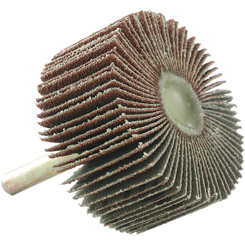 Disque &agrave; lamelles mont&eacute;, Grain 60, 2" x 1" x 1/4" Nuna Depot Inc.