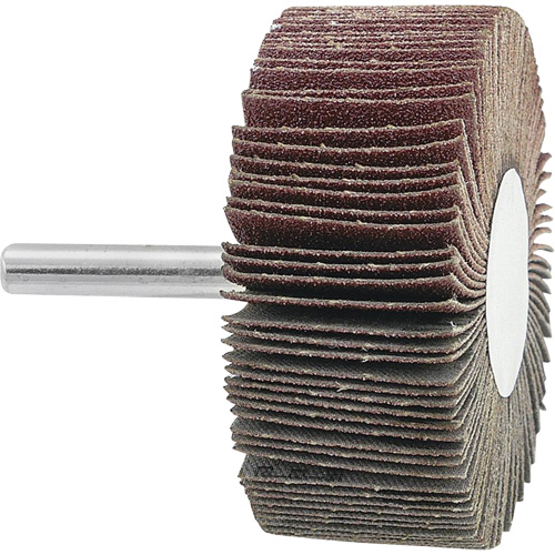 Disque &agrave; lamelles mont&eacute;, Grain 120, 2-1/2" x 1" x 1/4" Nuna Depot Inc.