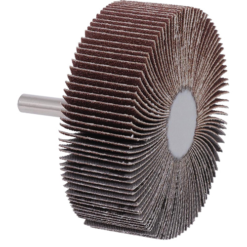 Disque &agrave; lamelles mont&eacute; sur mandrin, Grain A120, 3" x 1" x 1/4" Nuna Depot Inc.