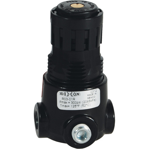 Wilkerson Miniature Regulator R03, 1/4" NPT, 300 psi Max. PSI, Standard Nuna Depot Inc.