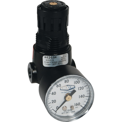 Wilkerson Miniature Regulator R04, 1/4" NPT, 300 psi Max. PSI, Standard Nuna Depot Inc.