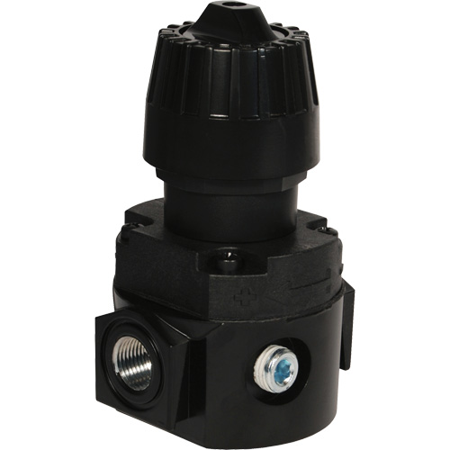 Wilkerson Compact Regulator R16, 1/4" NPT, 300 psi Max. PSI, Standard Nuna Depot Inc.