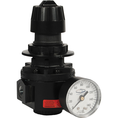 Wilkerson Regulator R26, 1/2" NPT, 300 psi Max. PSI, Standard Nuna Depot Inc.