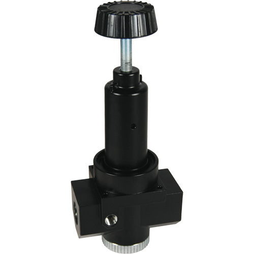 Wilkerson High Flow Regulator R30, 3/4" NPT, 300 psi Max. PSI, Standard Nuna Depot Inc.