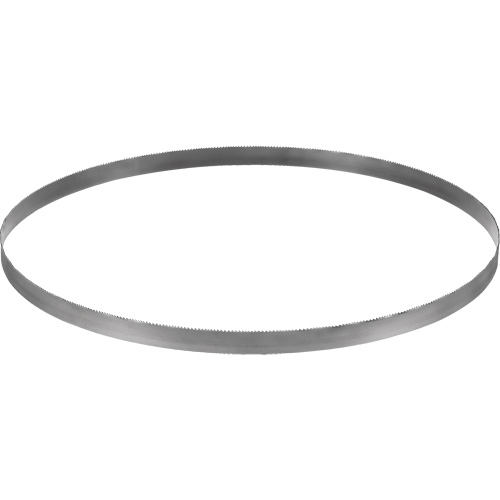 Cordless Band Saw Blade, Bi-Metal, 32-7/8" L x 0.02" Thick, 14-18 TPI Nuna Depot Inc.