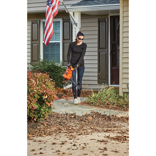 Souffleur/aspirateur/broyeur de feuilles 3-en-1 VacPack, Vitesse d'air 250 mi/h, &eacute;lectrique Nuna Depot Inc.