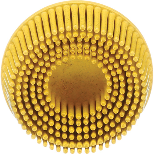 Scotch-Brite Roloc Bristle Disc, Ceramic, Medium Grit, 2" Dia. Nuna Depot Inc.