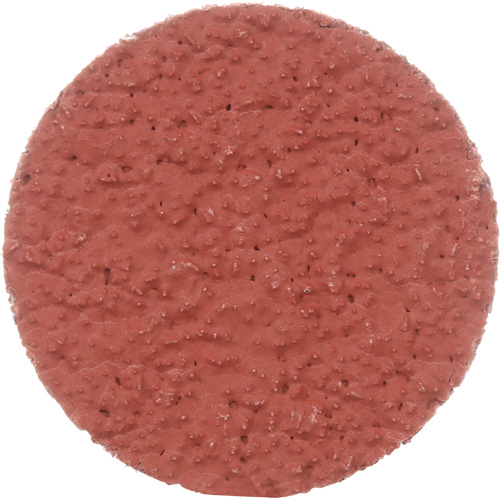 Disque &agrave; d&eacute;ligner durable II Roloc Cubitron, 2" dia., Grain 36+, C&eacute;ramique Nuna Depot Inc.