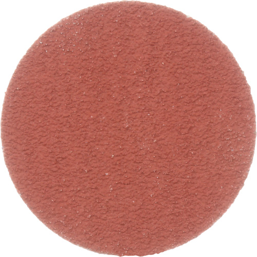Disque &agrave; d&eacute;ligner durable II Roloc Cubitron, 2" dia., Grain 80+, C&eacute;ramique Nuna Depot Inc.