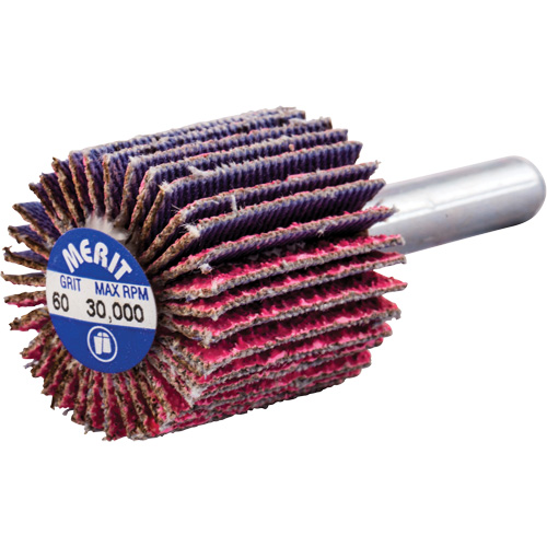 Mini-meule &agrave; lamelles mont&eacute;e sur tige, C&eacute;ramique d'alumine, Grain 60, 1" x 1" x 1/4" Nuna Depot Inc.