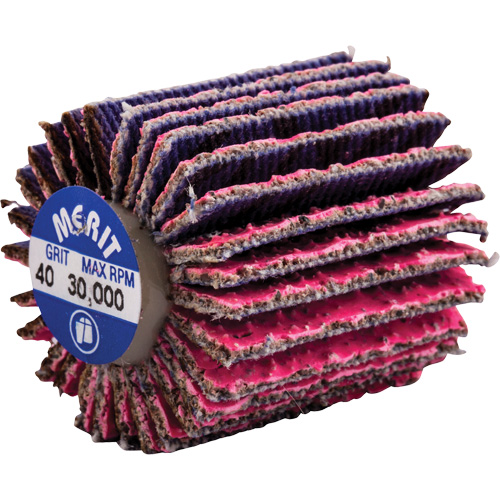 Mini-meule &agrave; lamelles filet&eacute;es, C&eacute;ramique d'alumine, Grain 40, 1" x 1" x 1/4"-20 Nuna Depot Inc.