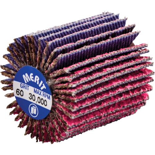 Mini-meule &agrave; lamelles filet&eacute;es, C&eacute;ramique d'alumine, Grain 60, 1" x 1" x 1/4"-20 Nuna Depot Inc.