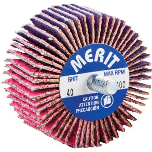 Mini-meule &agrave; lamelles filet&eacute;es, C&eacute;ramique d'alumine, Grain 40, 2" x 1" x 1/4"-20 Nuna Depot Inc.