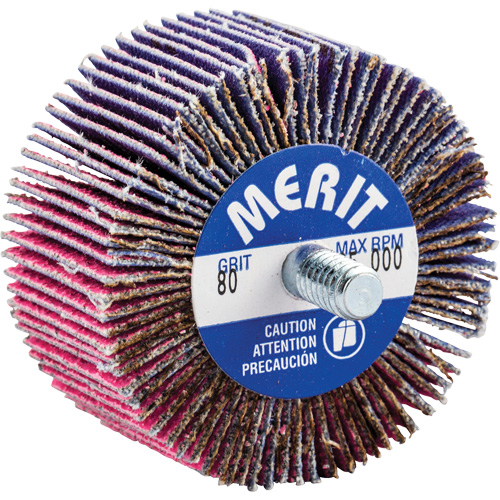 Threaded Mini Flap Wheel, Ceramic Alumina, 80 Grit, 2" x 1" x 1/4"-20 Nuna Depot Inc.