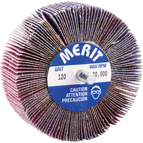 Mini-meule &agrave; lamelles filet&eacute;es, C&eacute;ramique d'alumine, Grain 120, 3" x 1" x 1/4"-20 Nuna Depot Inc.