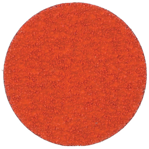 Blaze R980P Quick-Change Cloth Disc, 2" Dia., 60 Grit, Ceramic Alumina Nuna Depot Inc.