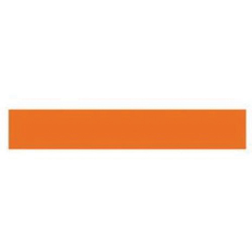 Write-On Magnetic Label, Magnetic, 600" L x 1" W Nuna Depot Inc.