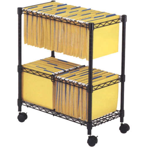 File Carts- 2-tier Rolling File Cart Nuna Depot Inc.