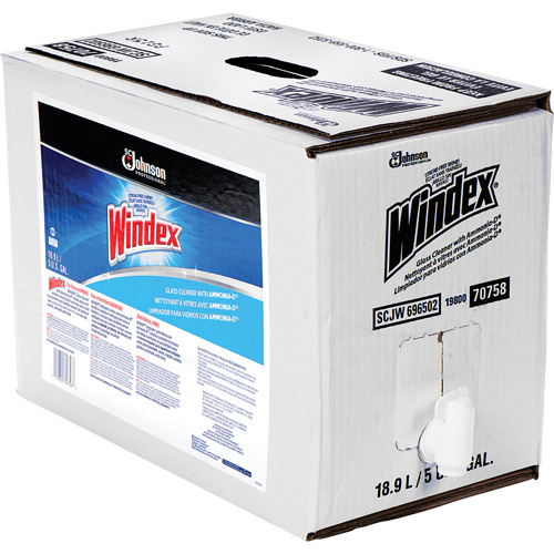 Nettoyant pour vitres Windex avec Ammoniac-D, 5 gal., Sac Nuna Depot Inc.