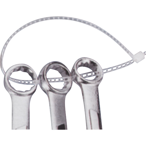 Ladder Ties, 7" Long, 40 lbs. Tensile Strength, Natural Nuna Depot Inc.