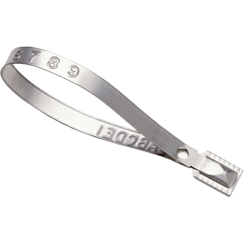 Scell&eacute;s Guard Lock, 8-3/8", M&eacute;tal, Scell&eacute; pour camion Nuna Depot Inc.