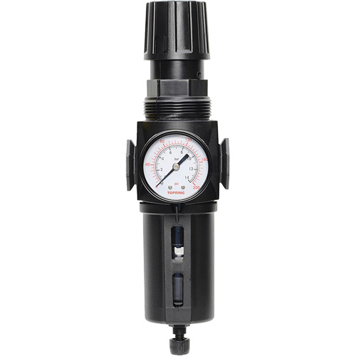 Filtre/r&eacute;gulateur drain manuel avec bol standard Modulair 300, 1/4" NPT, 150 psi, Capacit&eacute; de 5,1 oz liq. Nuna Depot Inc.