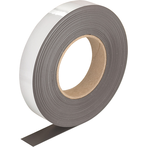Write-On Magnetic Tags, Magnetic, 600" L x 1" W Nuna Depot Inc.