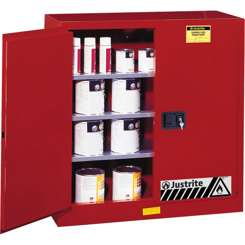 Sure-Grip&reg; EX Combustibles Safety Cabinet for Paint and Ink, 40 gal., 3 Shelves Nuna Depot Inc.