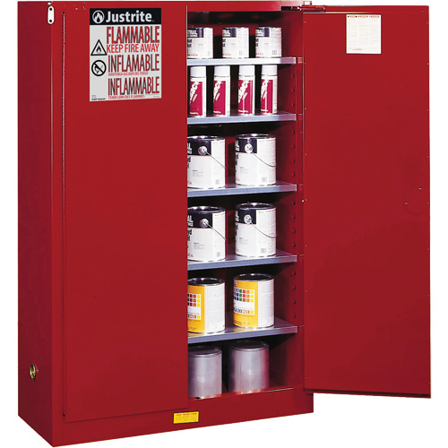 Armoire de s&eacute;curit&eacute; pour la peinture et les encres combustibles EX Sure-Grip, 60 gal., 5 tablettes Nuna Depot Inc.
