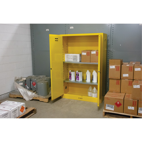 Flammable Storage Cabinet, 45 gal., 2 Door, 43" W x 65" H x 18" D Nuna Depot Inc.