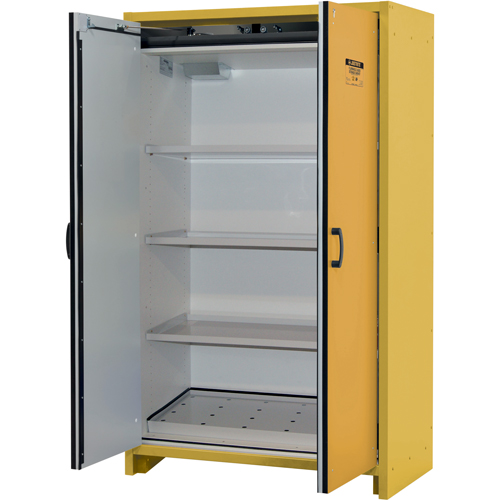 Armoire d'entreposage 30 minutes s&eacute;curitaire et conforme &agrave; la norme EN, 45 gal., 2 Porte(s), 45,83" La x 76,65" h x 24,21" p Nuna Depot Inc.