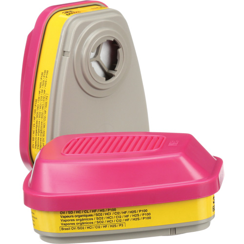 Cartouches pour respirateur s&eacute;rie 6000, Cartouche gaz/vapeur, Vapeurs organiques/Gaz acides/P100 Nuna Depot Inc.