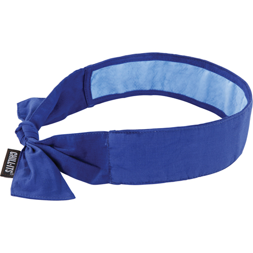 Chill-Its&reg; 6700CT Cooling Bandanas, Blue Nuna Depot Inc.