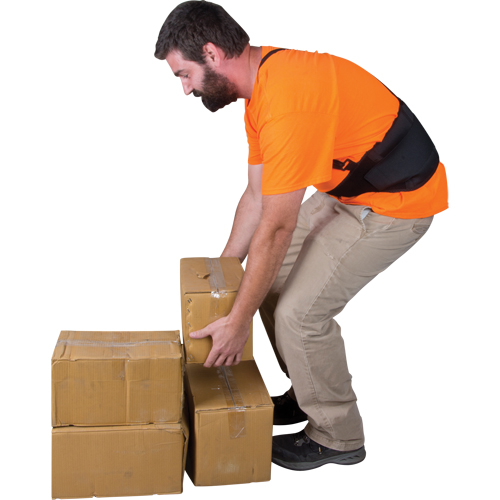 Back Support, Elastic, Medium Nuna Depot Inc.