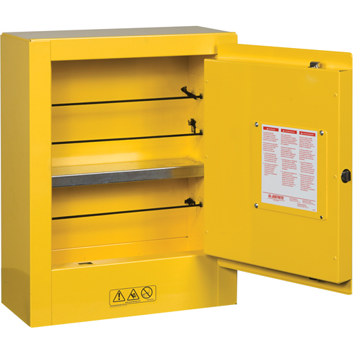 Sure-Grip&reg; EX Mini Flammable Safety Cabinet, 2 Gal., 1 Door, 17" W x 22" H x 8" D Nuna Depot Inc.