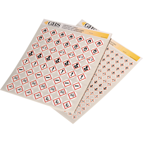 GHS Hazard Pictogram Label Variety Packs, Vinyl, Sheet, 1" L x 1" W Nuna Depot Inc.