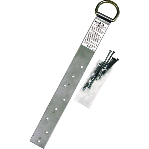 Ancrage simple pour toiture Miller, Anneau en D, Usage Permanent Nuna Depot Inc.