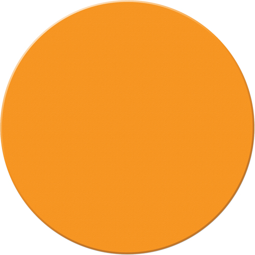 Armor Stripe Lean/5S Markers, Circle, 6" L x 6" W, Orange, Plastic Nuna Depot Inc.