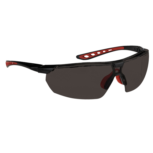 Lunettes de s&eacute;curit&eacute; s&eacute;rie Falcon Dynamic, Lentille Fum&eacute;e, Antibu&eacute;e, ANSI Z87+/R&eacute;pond ou surpasse la norme CSA Z94.3 Nuna Depot Inc.