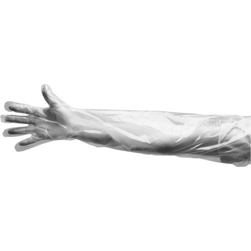 Disposable Gloves, Large, Polyethylene, 9-mil, Powdered, Clear Nuna Depot Inc.