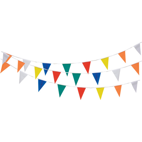 Pennant String, 60' L, Multicolour Nuna Depot Inc.