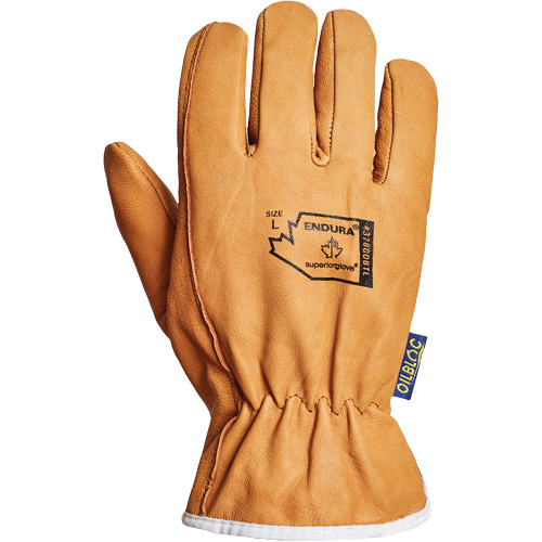Gants de conducteur Endura, Petit, Paume en Cuir fleur de ch&egrave;vre, Thinsulate Nuna Depot Inc.
