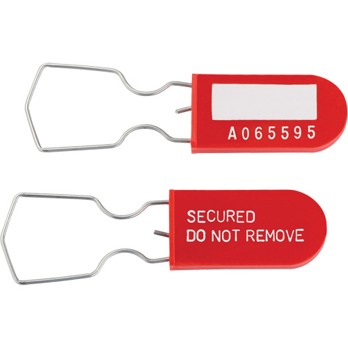 Dynamic Safety Equipment Inspection Tags, Plastic, 1" W x 2-1/4" H, English Nuna Depot Inc.