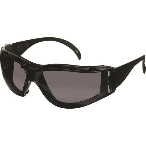 Lunettes de s&eacute;curit&eacute; CeeTec DX, Lentille Gris, Antibu&eacute;e/Anti-&eacute;gratignures, R&eacute;pond ou surpasse la norme CSA Z94.3 Nuna Depot Inc.