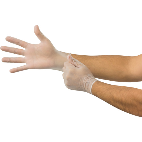 MICROFLEX Derma Free DF-850 Disposable Gloves, 7.5/8/Medium, Vinyl, 3.1-mil/3.5-mil, Powder-Free, Clear, Class 2 Nuna Depot Inc.