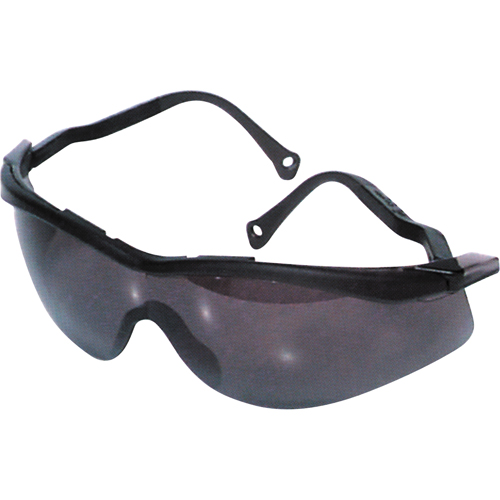 Lunettes de s&eacute;curit&eacute; North The Edge, Lentille Fum&eacute;e, Antibu&eacute;e/Anti-&eacute;gratignures, R&eacute;pond ou surpasse la norme CSA Z94.3 Nuna Depot Inc.