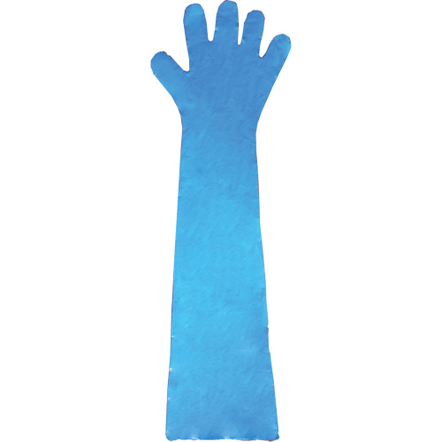 Gants jetables en latex, Gants jetables, Gants jetables en vinyle, Poly&eacute;thyl&egrave;ne, Sans poudre, Bleu Nuna Depot Inc.